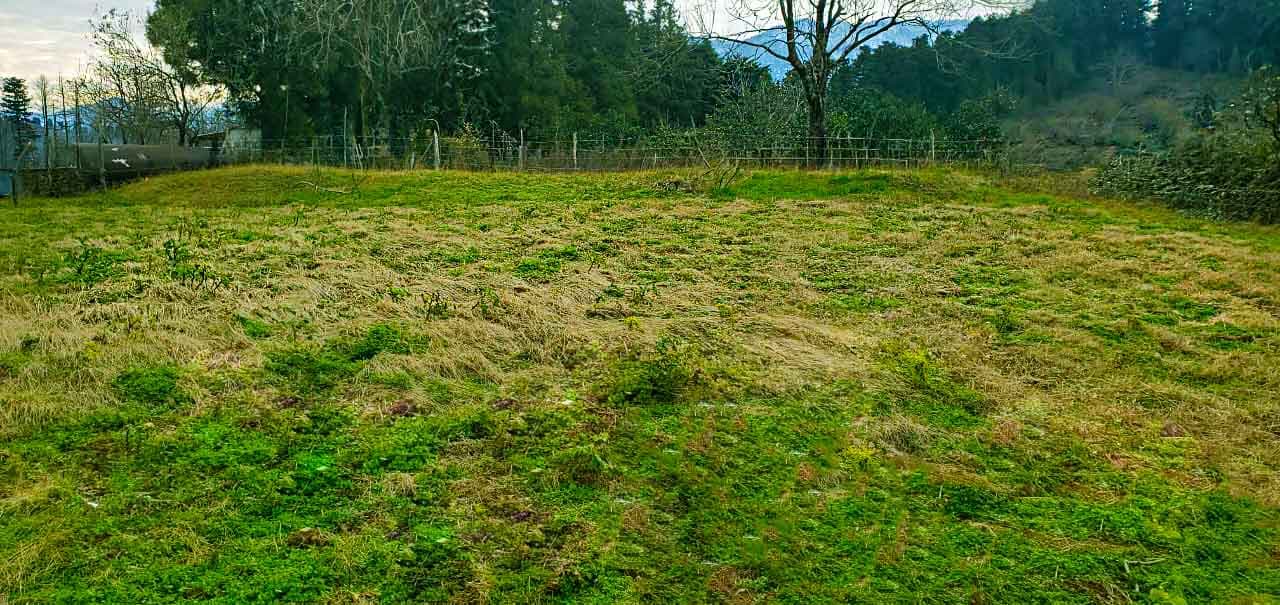 Land plot for sale in Batumi | Quality Homes